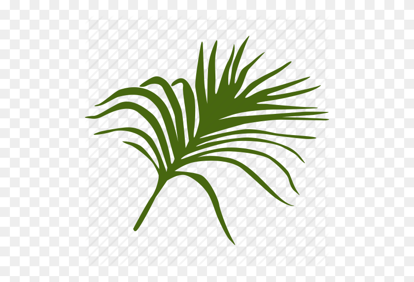 498x512 Зеленый, Листья, Листья, Пальма, Дерево, Тропический Значок - Тропические Растения Png