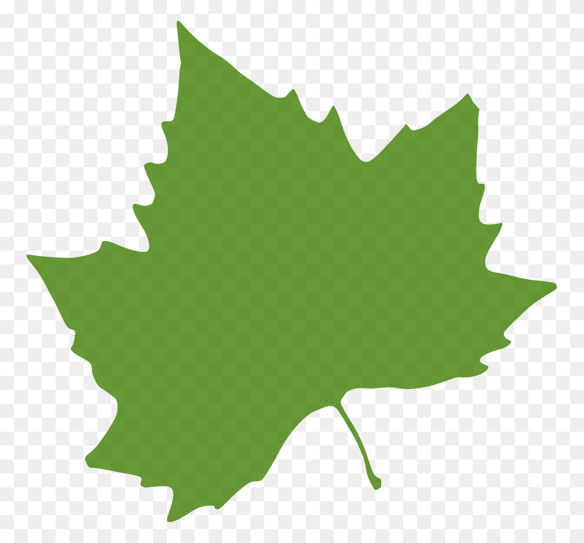 763x720 Зеленые Листья Клипарт Красочные Листья - Дерево Осина Клипарт