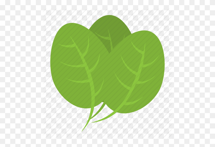512x512 Green Leaves, Green Vegetable, Spinach, Spinach Leaves, Vegetable Icon - Spinach PNG