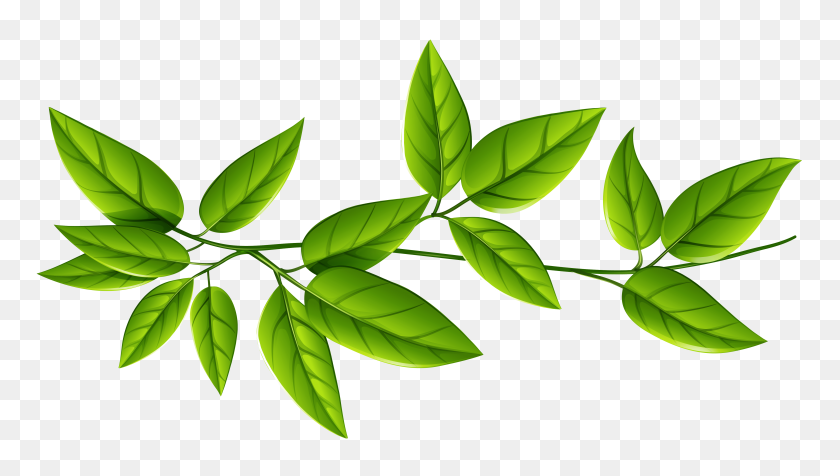 5164x2760 Green Leaves Png - PNG Leaf