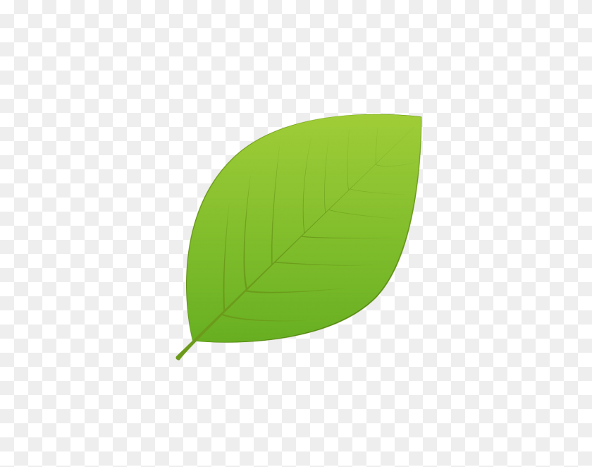 1500x1159 Green Leaves Png Transparent Images - Leaf PNG Transparent
