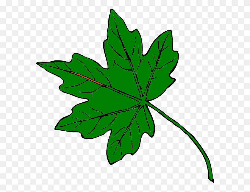 600x585 Green Maple Leaf Clip Art - Green Leaf Clip Art