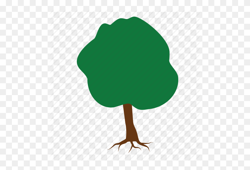 512x512 Green, Nature, Root, Roots, Stump, Tree, Trees Icon - Tree With Roots PNG