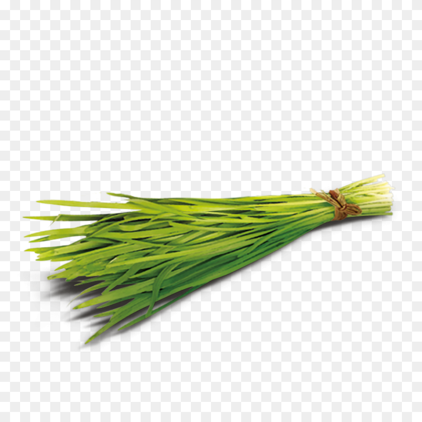 800x800 Green Oat Grass - Lemongrass PNG