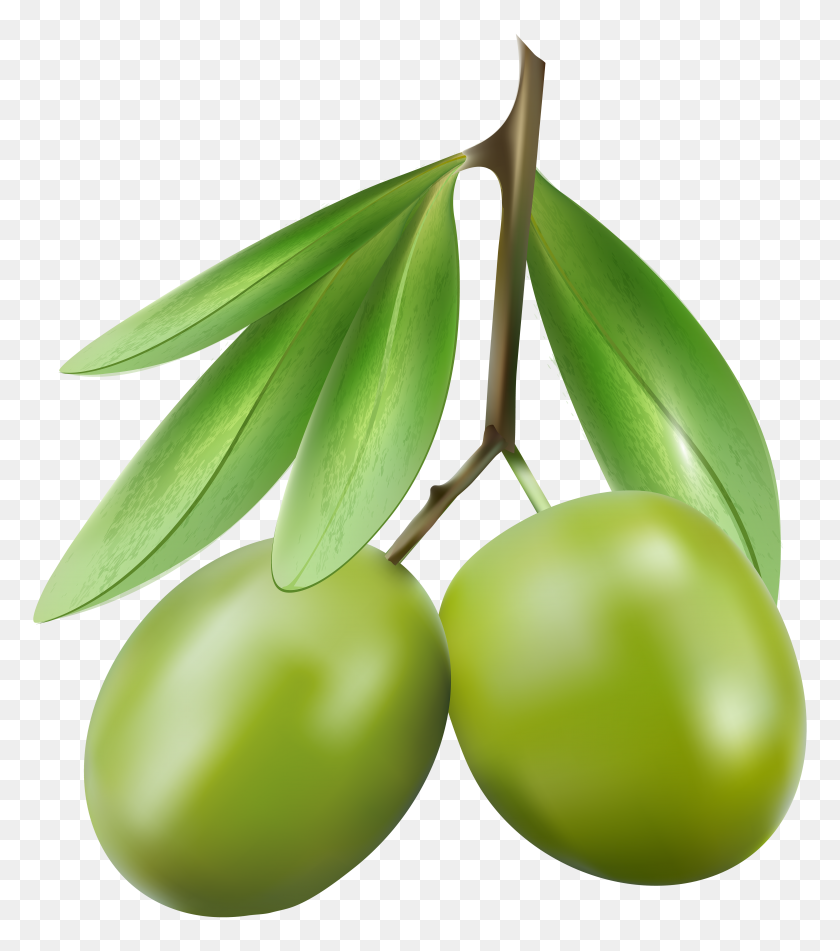 5252x6000 Green Olives Png Clip Art - Olive Clipart