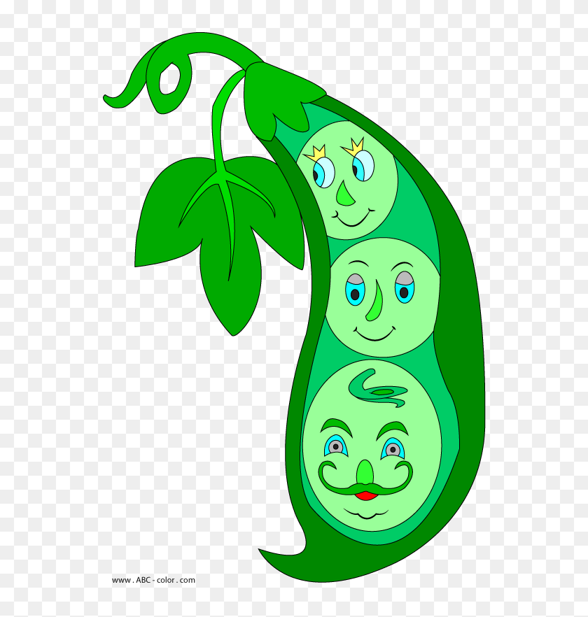 567x822 Green Peas Raster Clipart - Peas Clipart
