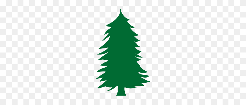 190x300 Green Pine Tree Silhouette - Pine Tree Silhouette PNG