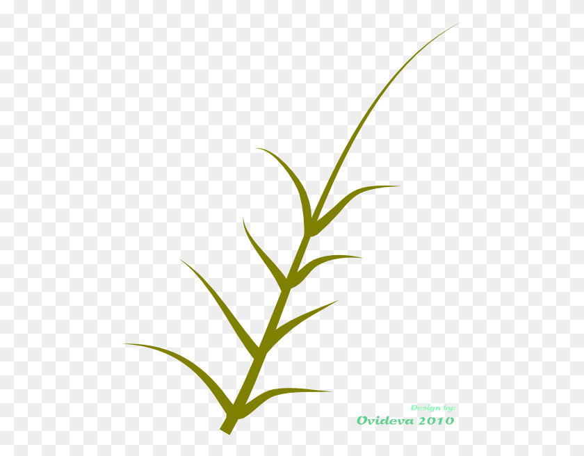 492x596 Green Plant Clip Art - Algae Clipart