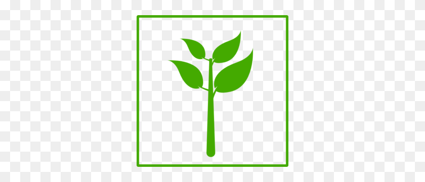 300x300 Green Plant Clip Art Cliparts - Sapling Clipart