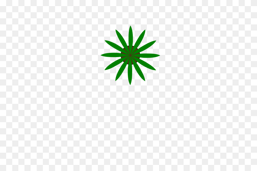353x500 Green Plant Top View Vector Drawing - Plant Top View PNG