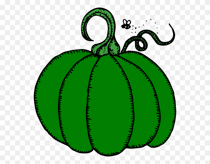 570x594 Green Pumpkin Png Clip Arts For Web - Pumpkin PNG Clipart