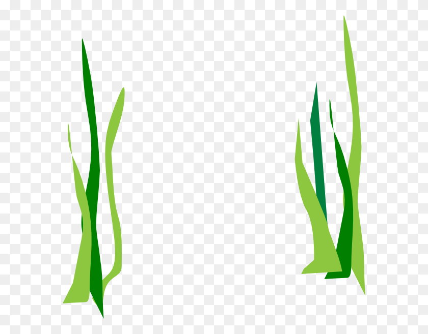 594x597 Green Reeds Clip Art - Weed Clipart