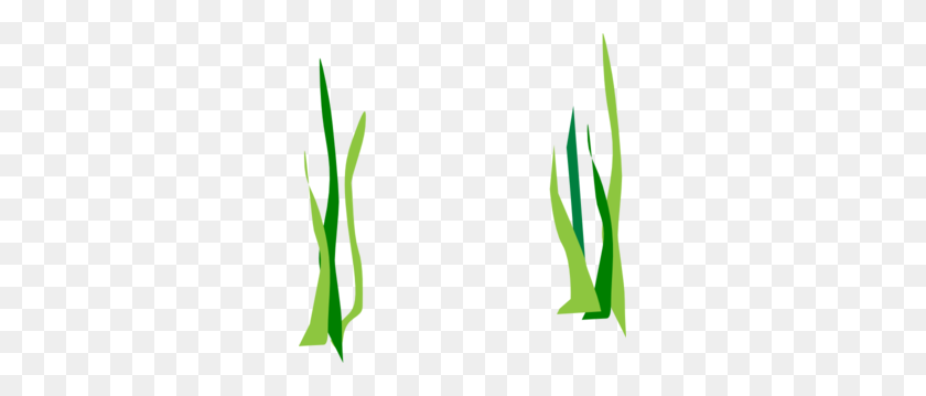297x299 Green Reeds Clip Art - Seaweed Clipart