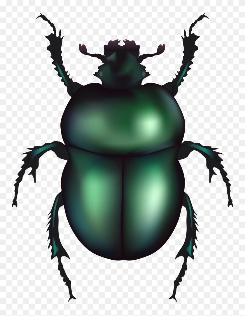 6101x8000 Green Rose Chafer Beetle Png Clip Art - Rose Clipart