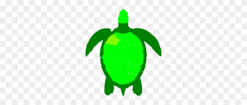 258x299 Green Sea Turtle Clip Art - Pond Clipart