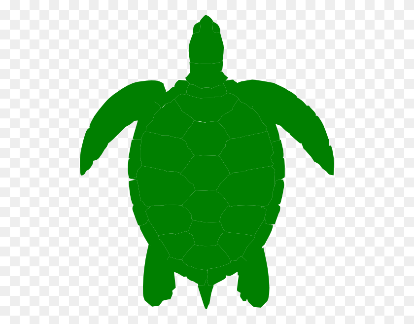 516x597 Green Sea Turtle Clip Art - Sea Turtle Clipart
