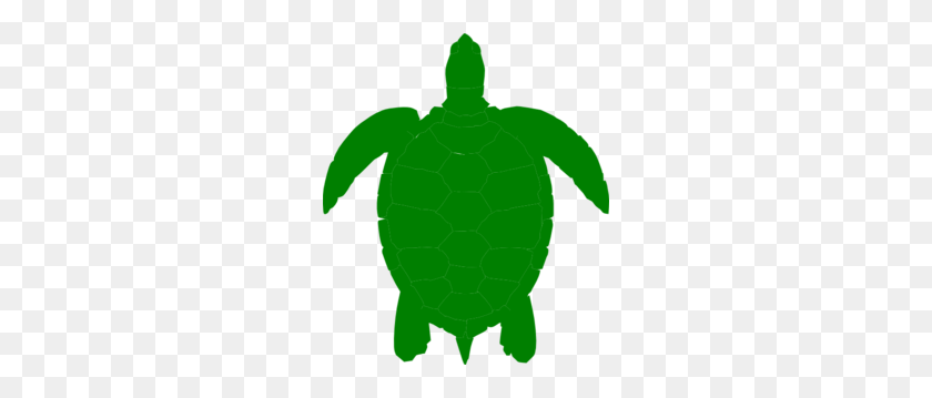 258x299 Зеленая Морская Черепаха Картинки - Черепаха Клипарт Png