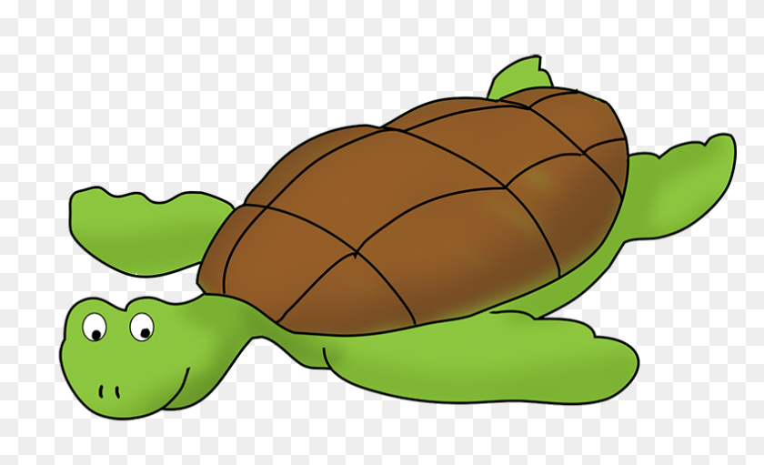 787x456 Green Sea Turtle Clip Art Free Vector In Open Office Drawing - Turtle Clipart Transparent