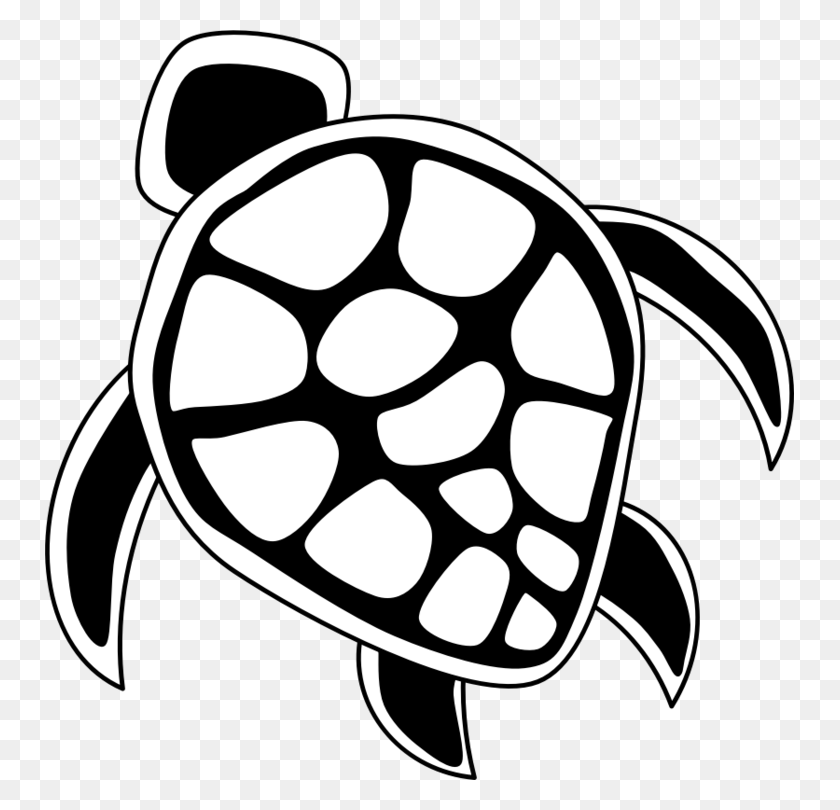 749x750 Зеленая Морская Черепаха Рисунок Черепахи - Морская Черепаха Клипарт Черно-Белый