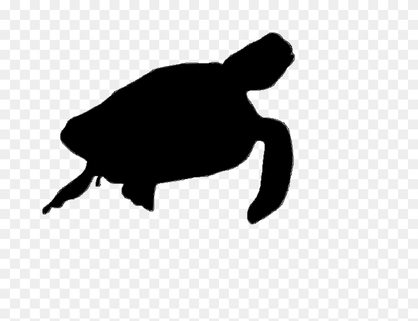 1000x750 Зеленая Морская Черепаха Силуэт Искусства - Морская Черепаха Png