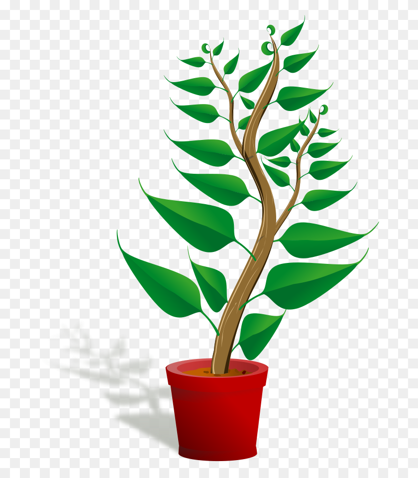 684x900 Green Tall Plant In Its Pot Png Clip Arts For Web - Pot PNG