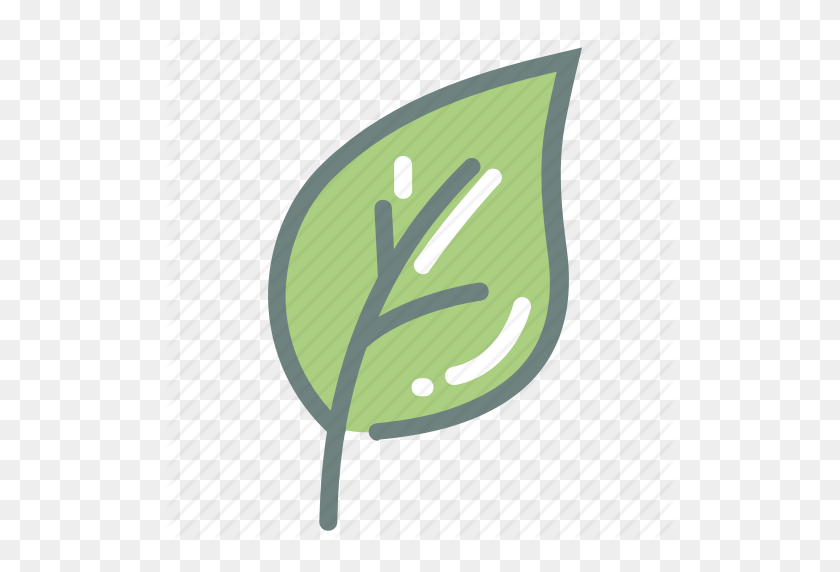 512x512 Green Tea, Harvest, Herb, Leaf, Leaves, Matcha, Tea Icon - Green Tea PNG