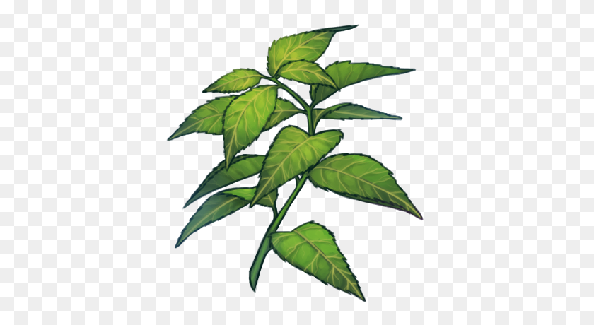400x400 Листья Зеленого Чая - Чайные Листья Png