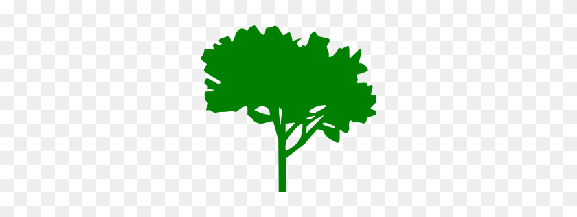 256x256 Значок Зеленого Дерева - Значок Дерева Png