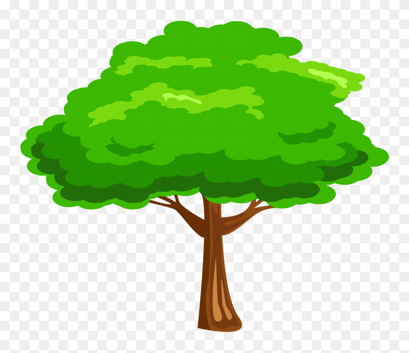 6312x5396 Зеленое Дерево Png - Дерево Png Клипарт