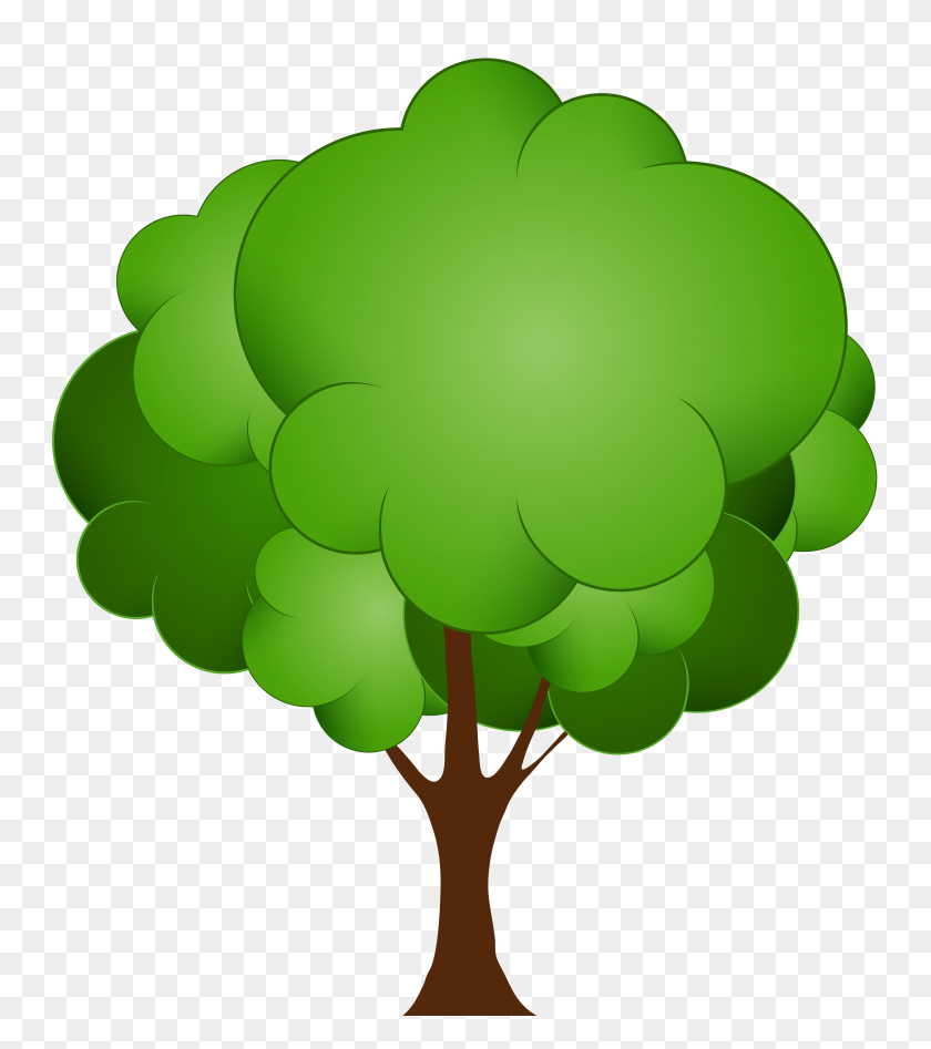 4599x5232 Png Зеленое Дерево Клипарт