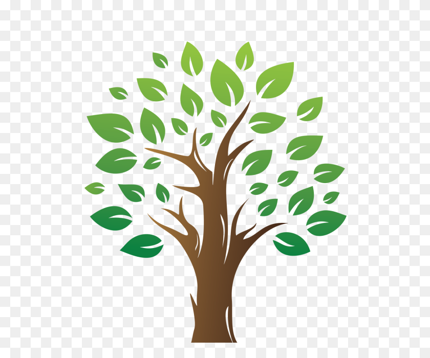 640x640 Зеленое Дерево С Зеленым Листом, Дерево, Зеленое Дерево, Листья Png - Листья Пальмы Png