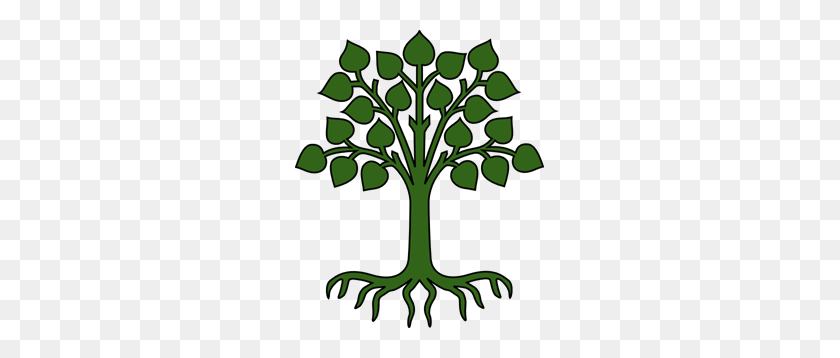 249x298 Green Tree With Roots Png Clip Arts For Web - Roots PNG