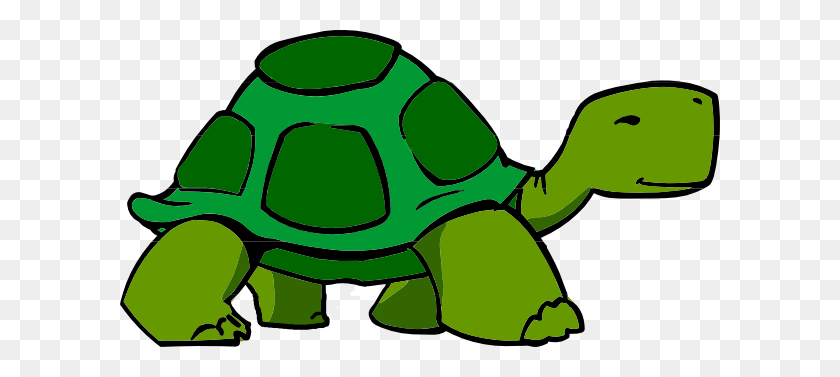 600x317 Green Turtle Fixed Clip Art - Tortoise PNG