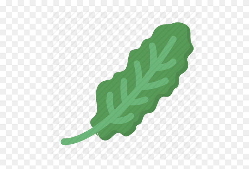512x512 Greens, Healthy, Kale, Organic, Salad, Veggie Icon - Kale PNG