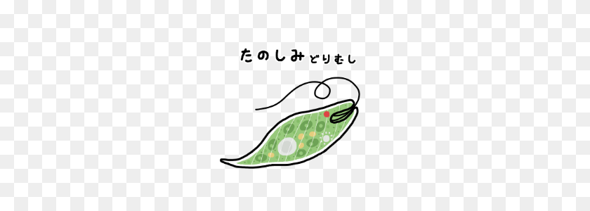 240x240 Greeting Plankton Line Stickers Line Store - Plankton PNG