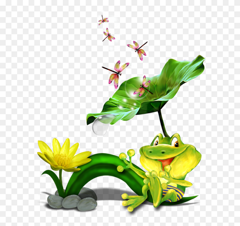 600x732 Grenouilles,frog,tube Animal Drawings Frogs, Clip - Frog On Lily Pad Clipart