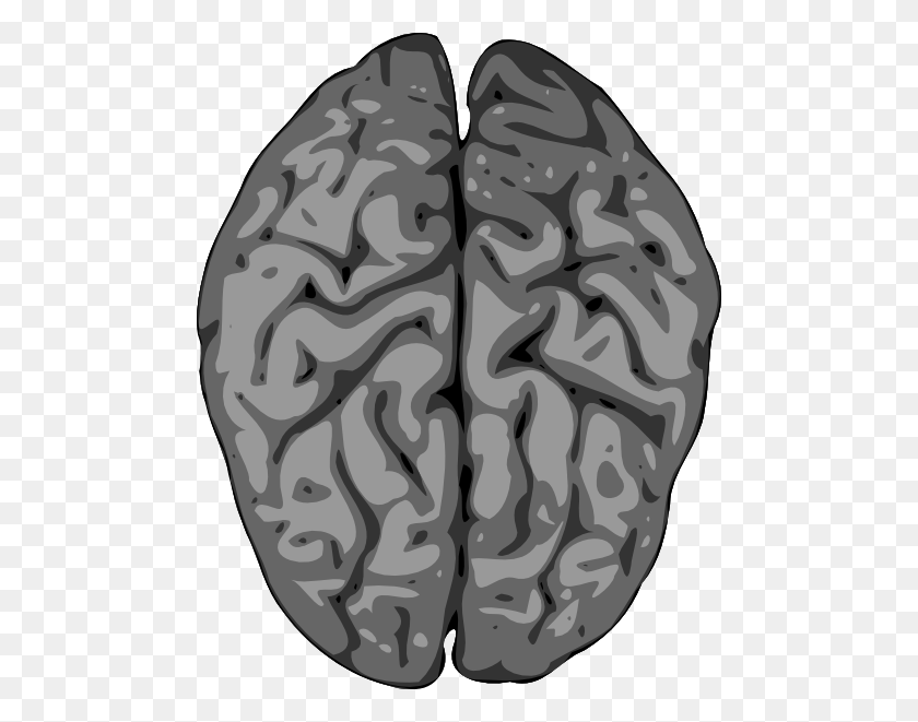 480x601 Grey Brain Clip Art - Brain Clipart PNG