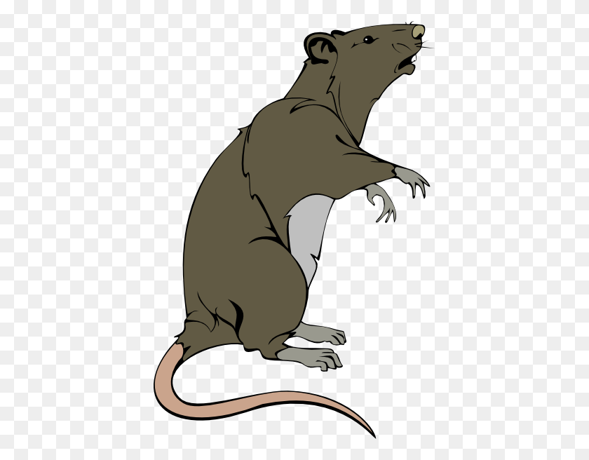 402x596 Grey Greedy Rat Clip Art - Rat Clipart