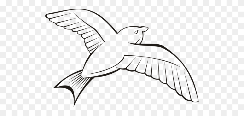 528x340 Grey Heron Bird Flight Ocean - Blue Heron Clipart