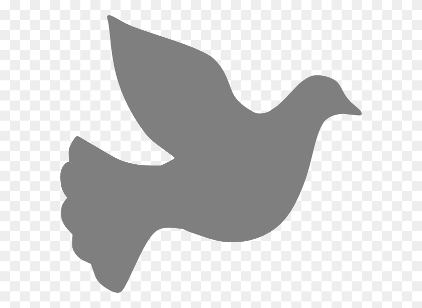 600x553 Grey Love Dove Png Large Size - Dove PNG