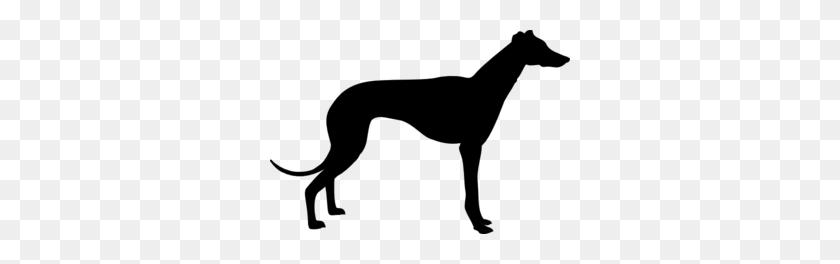 300x204 Greyhound Cliparts - Bloodhound Clipart