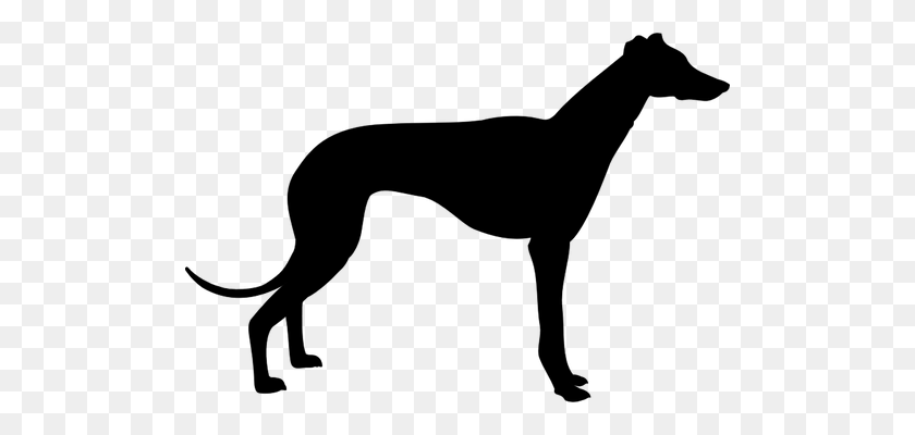 500x340 Greyhound Dog Silhouette Vector Clip Art - Rottweiler Clipart Black And White