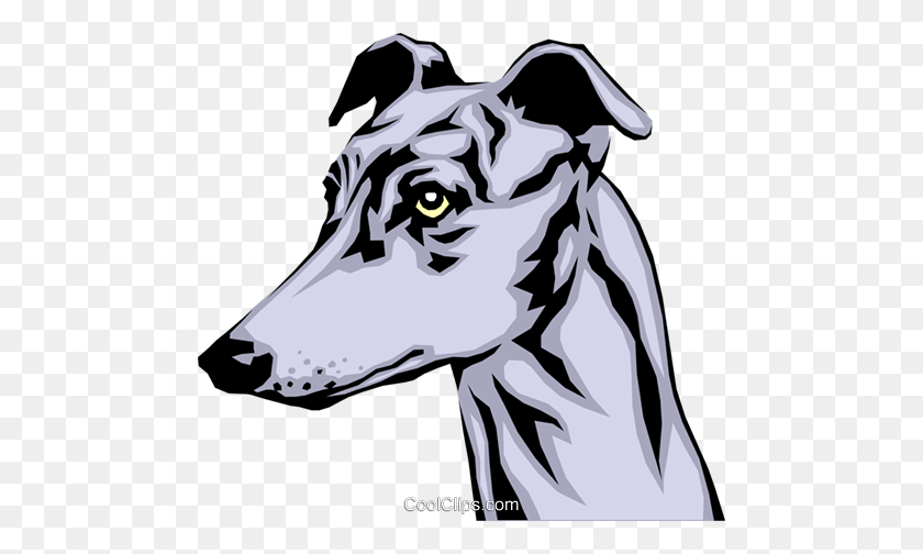 480x444 Greyhound Royalty Free Vector Clip Art Illustration - Greyhound Clipart