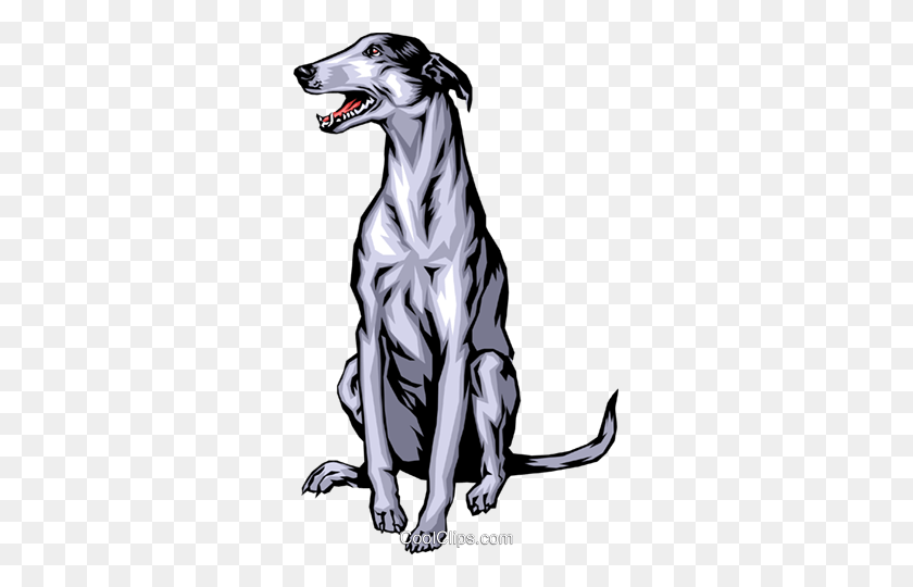 299x480 Greyhound Royalty Free Vector Clip Art Illustration - Greyhound Clipart