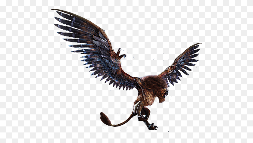 500x415 Griffin Background - Griffin PNG
