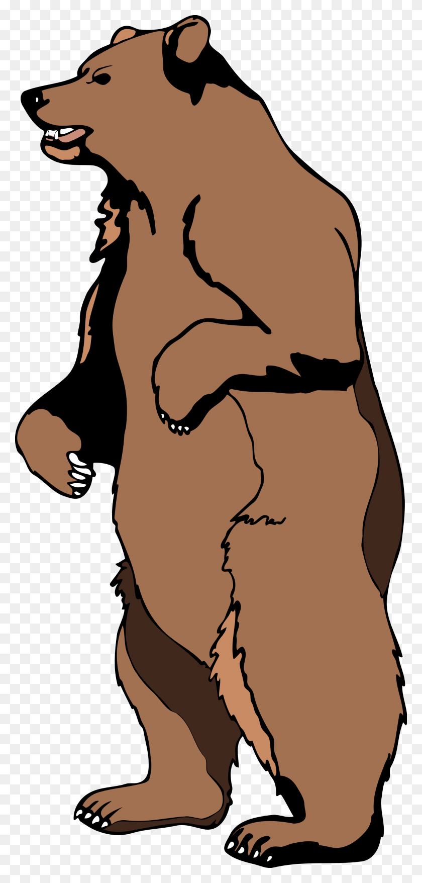 1979x4305 Grizzly Bear Standing Clipart - Bear Face Clipart