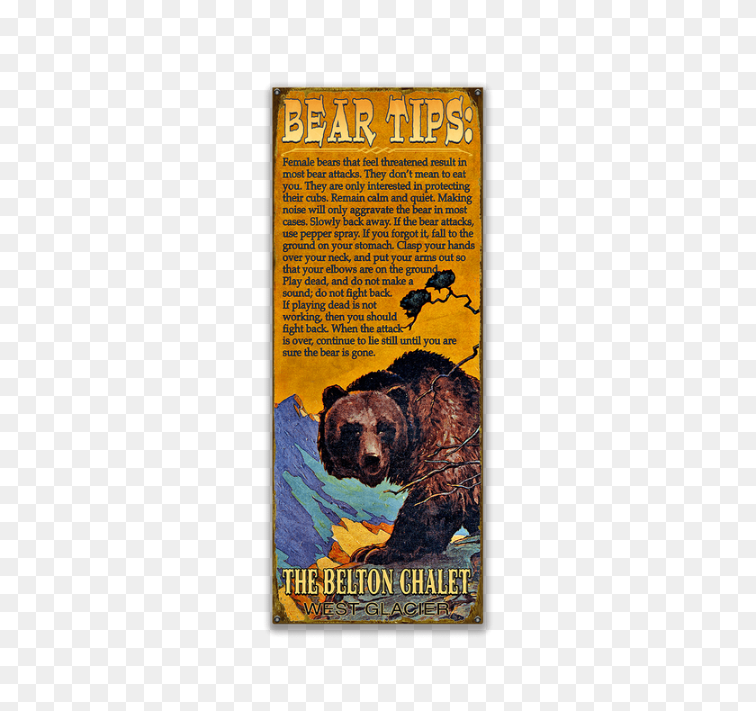 730x730 Grizzly Bear Tips - Smokey The Bear PNG