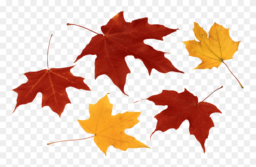 Groovy Red Fall Leaf Png Clipart - Leaf Emoji PNG