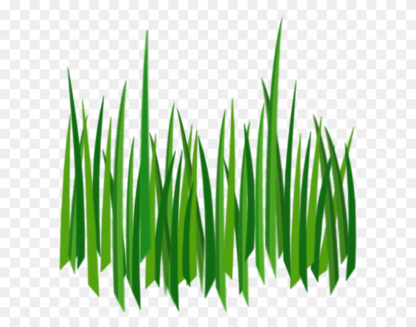 600x600 Ground Clipart Long Grass - Blades Of Grass Clipart