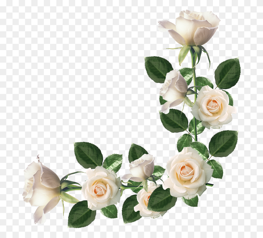 Featured image of post Convite Moldura Flores Png Download transparent flores png for free on pngkey com